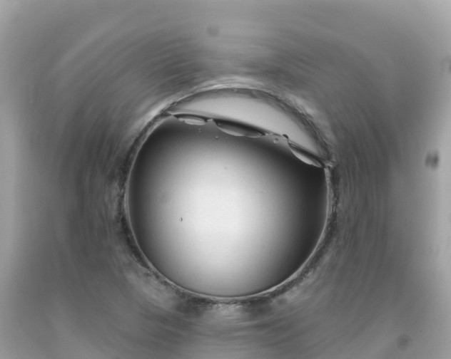 X0000092011313200709131526