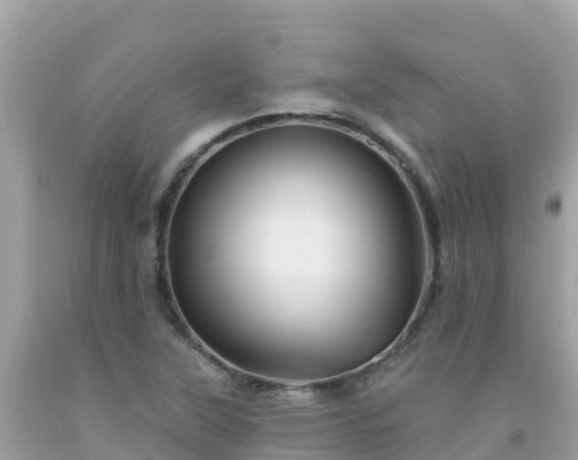 X0000092011315200709131526