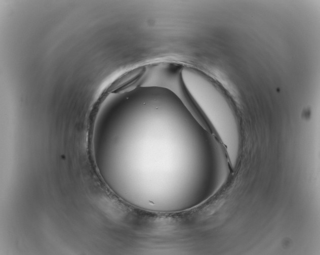 X0000092011316200709131526