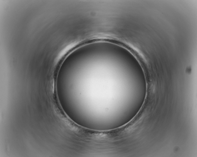 X0000092011317200709131526