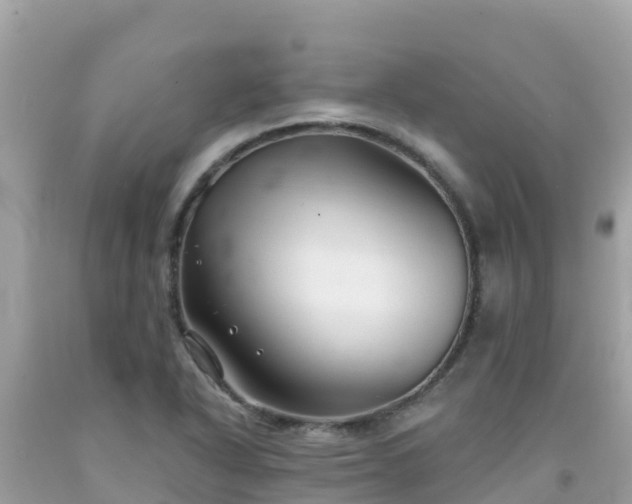X0000092011318200709131526
