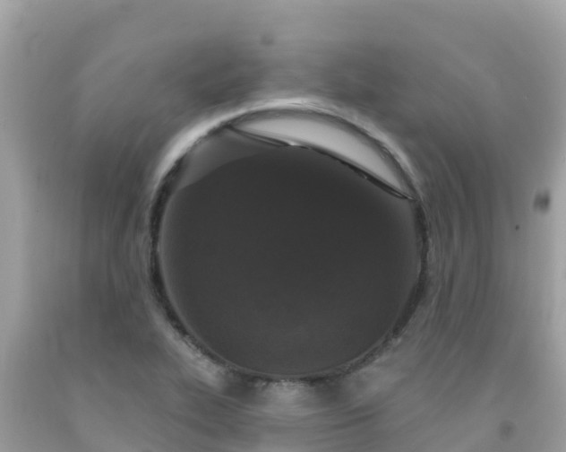 X0000092011319200709131526