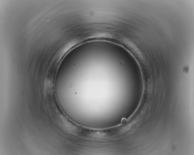 X0000092011321200709131526