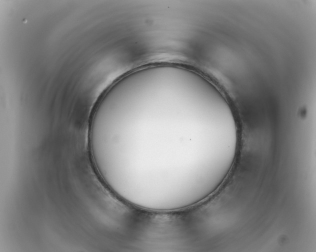 X0000092011322200709131526