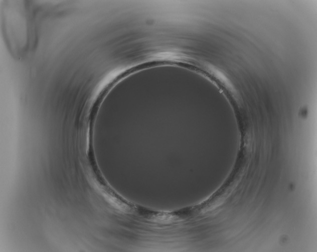 X0000092011323200709131526