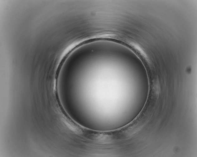 X0000092011324200709131526