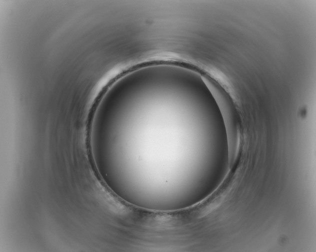 X0000092011326200709131526
