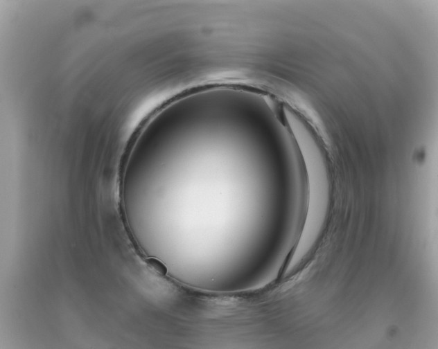 X0000092011328200709131526