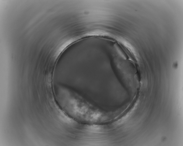 X0000092011329200709131526