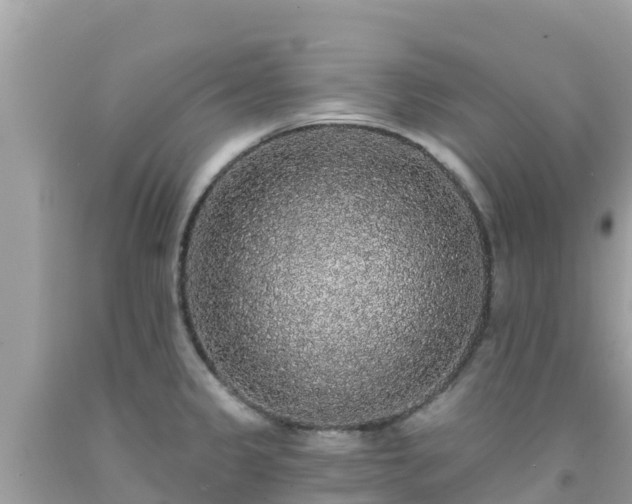 X0000092011333200709131527