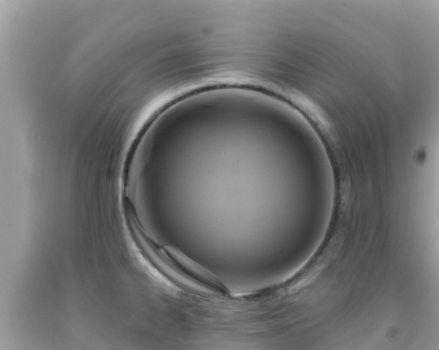 X0000092011334200709131527