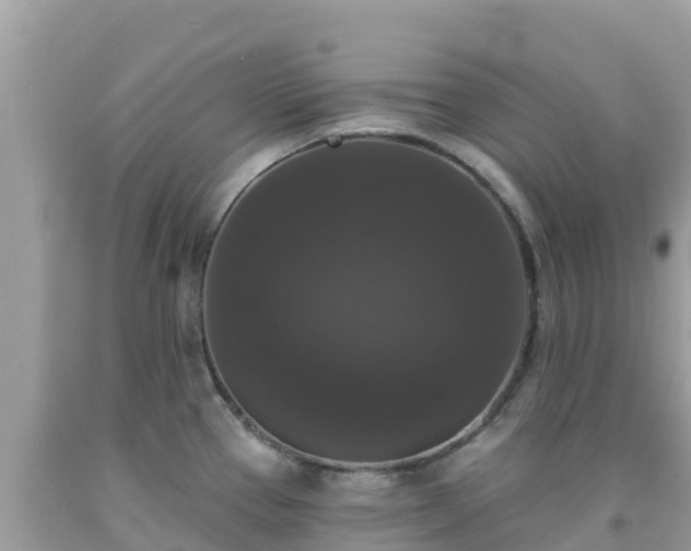X0000092011337200709131527