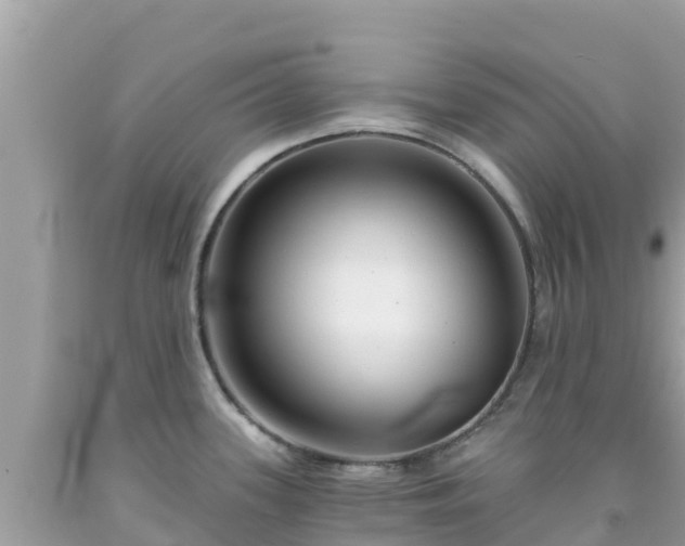 X0000092011339200709131527