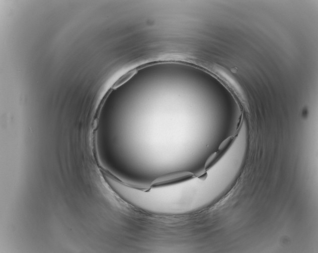 X0000092011340200709131527