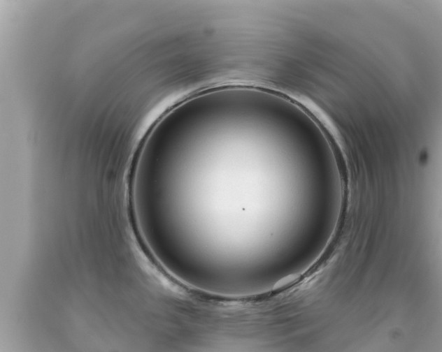 X0000092011341200709131527