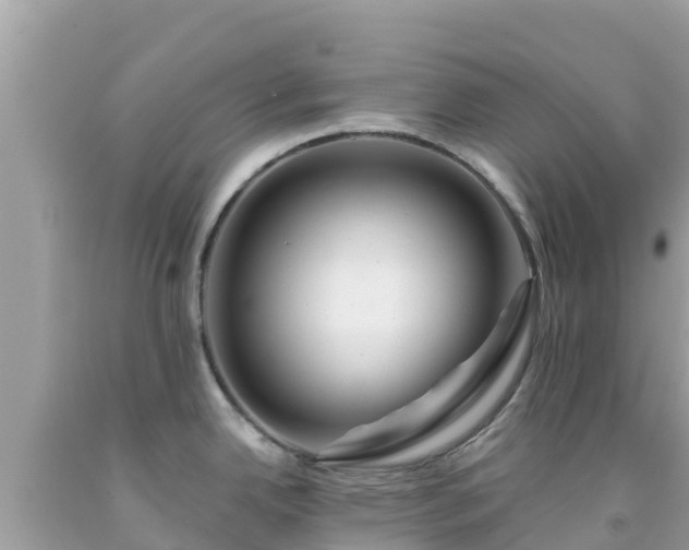X0000092011342200709131527