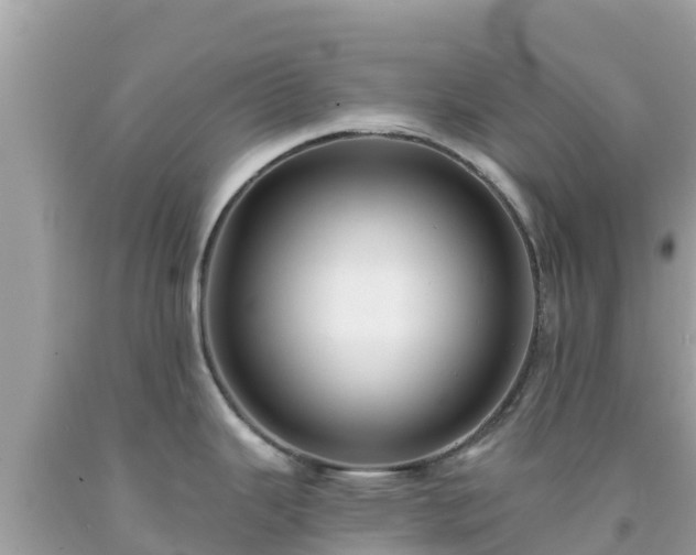 X0000092011343200709131527