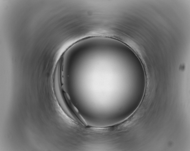 X0000092011344200709131527