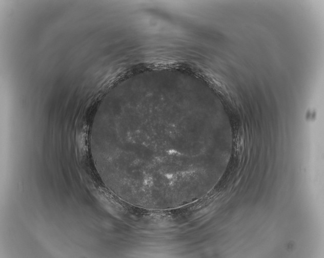 X0000092011346200709131526