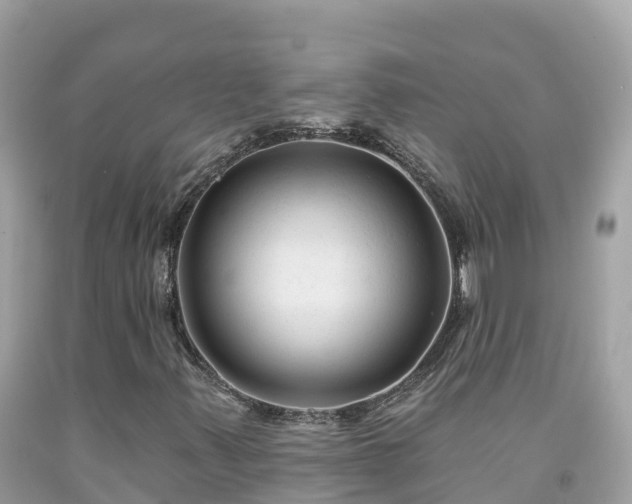 X0000092011347200709131526