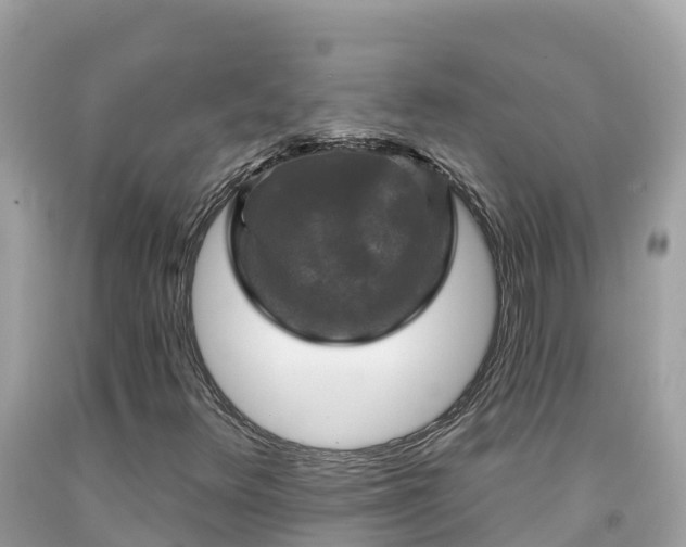 X0000092011348200709131526