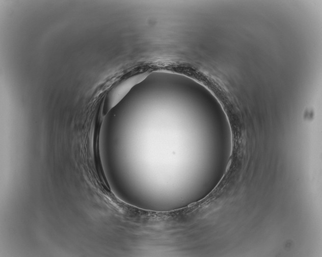 X0000092011349200709131526
