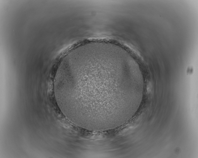 X0000092011350200709131526