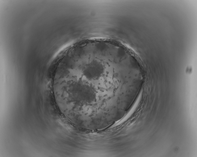 X0000092011351200709131526