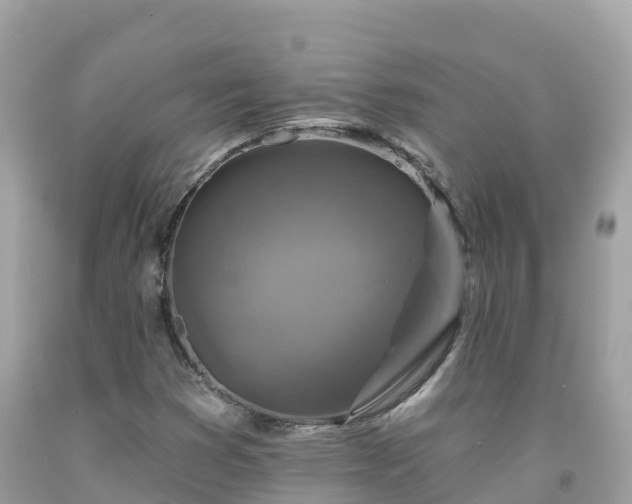 X0000092011353200709131526