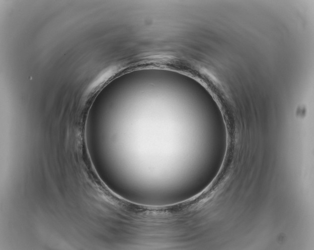 X0000092011354200709131526