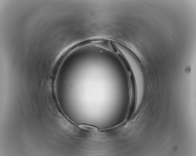 X0000092011356200709131526