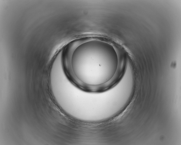 X0000092011357200709131526