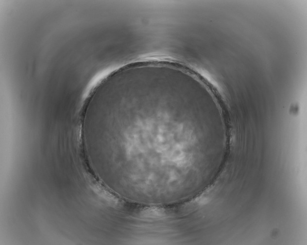 X0000092011358200709131526