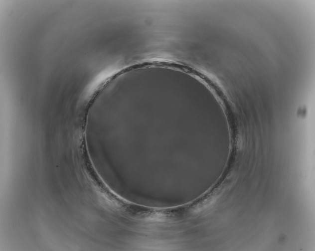 X0000092011359200709131526