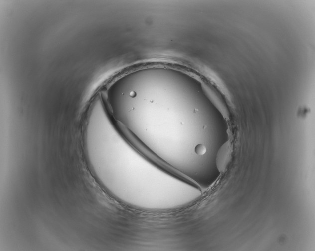 X0000092011360200709131526