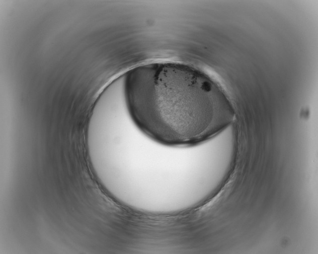 X0000092011361200709131526