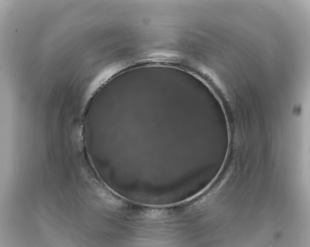 X0000092011362200709131526