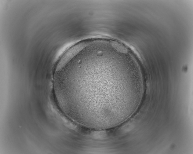 X0000092011363200709131526