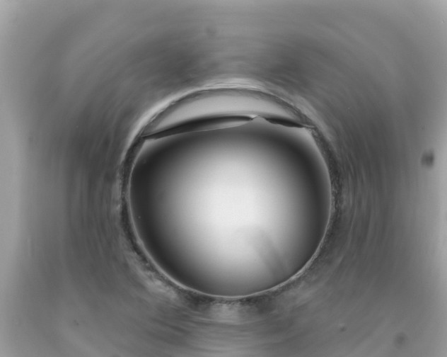 X0000092011364200709131526