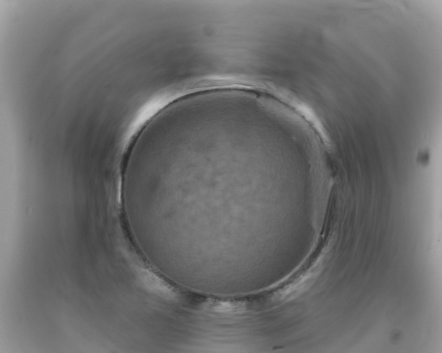 X0000092011365200709131526