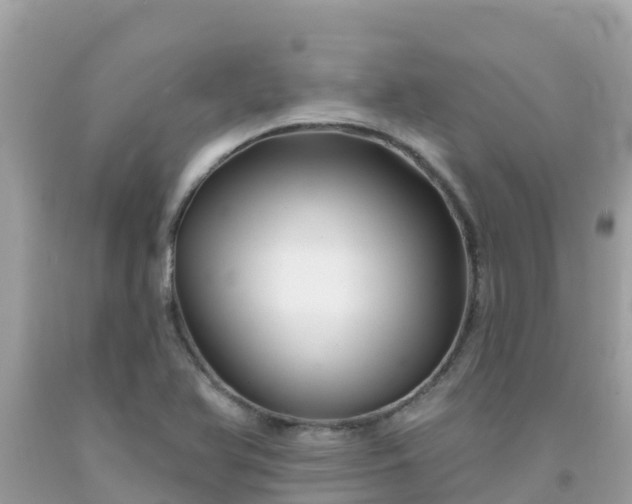 X0000092011366200709131526
