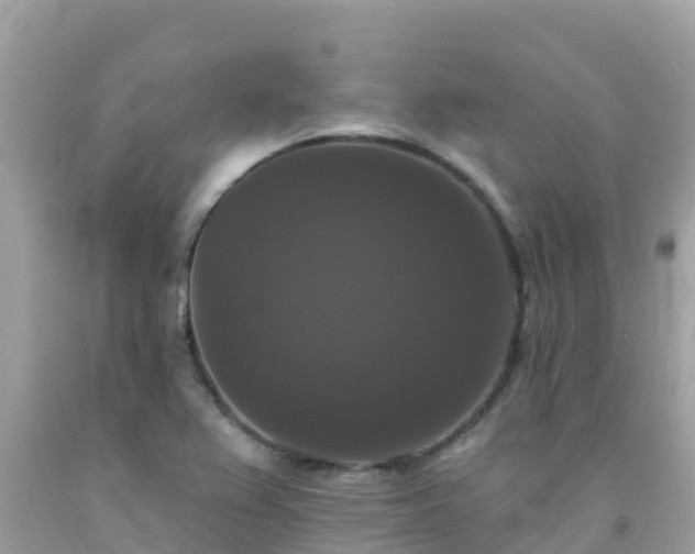 X0000092011367200709131526