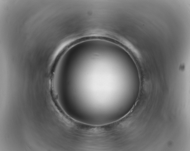 X0000092011368200709131526
