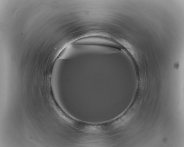 X0000092011369200709131526
