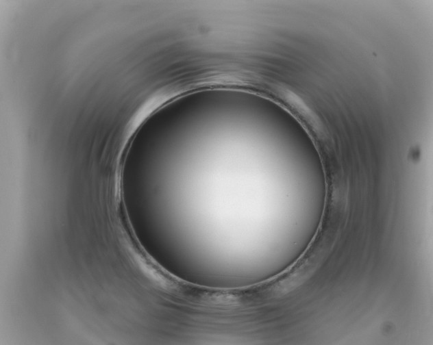 X0000092011370200709131526