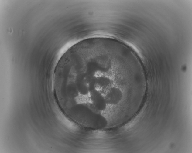 X0000092011371200709131526