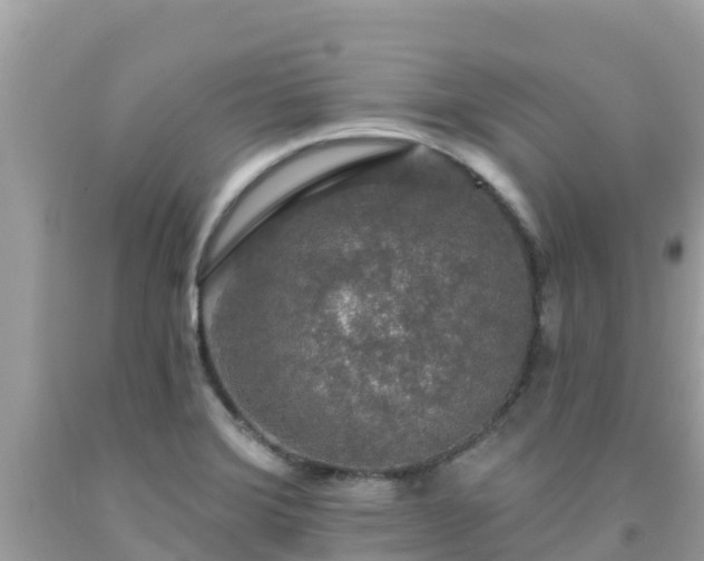 X0000092011372200709131526