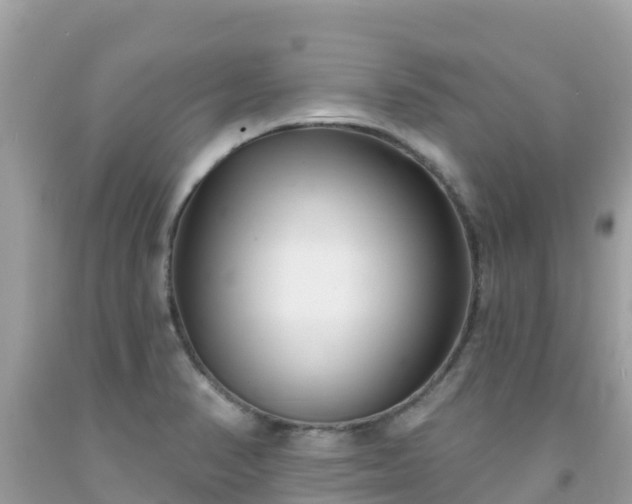 X0000092011374200709131526