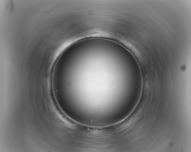 X0000092011375200709131526