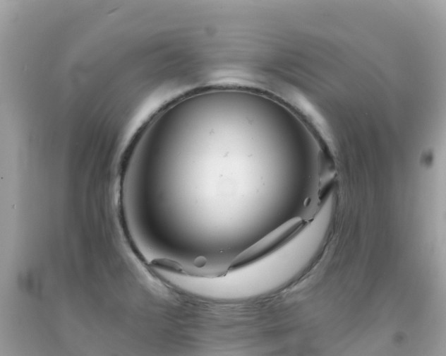 X0000092011376200709131526